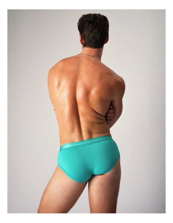 Icon Brief in Patina image 5