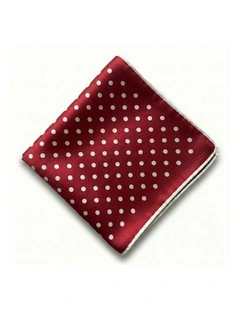 Formalaties Luxury Satin Polka Dot Hank Pocket Square & Bow Tie in Red/White