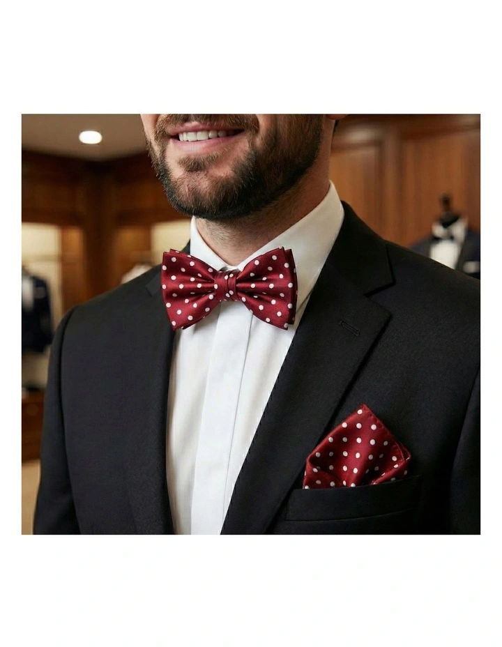 Formalaties Luxury Satin Polka Dot Hank Pocket Square & Bow Tie in Red/White image 2