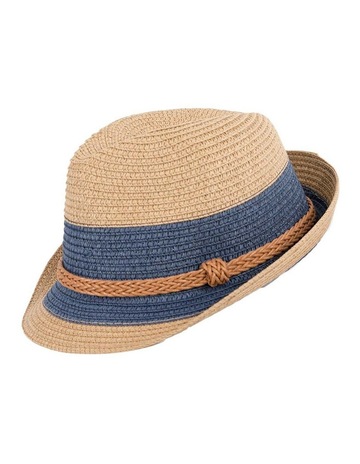 Navy & Blue colour