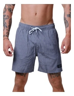 Aztek Swim Shorts in Grey