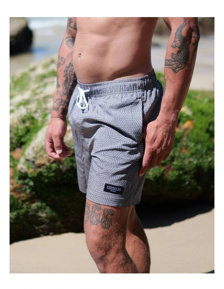 Aztek Swim Shorts in Grey image 4