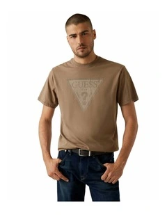 Triangle Logo T-shirt in Brown