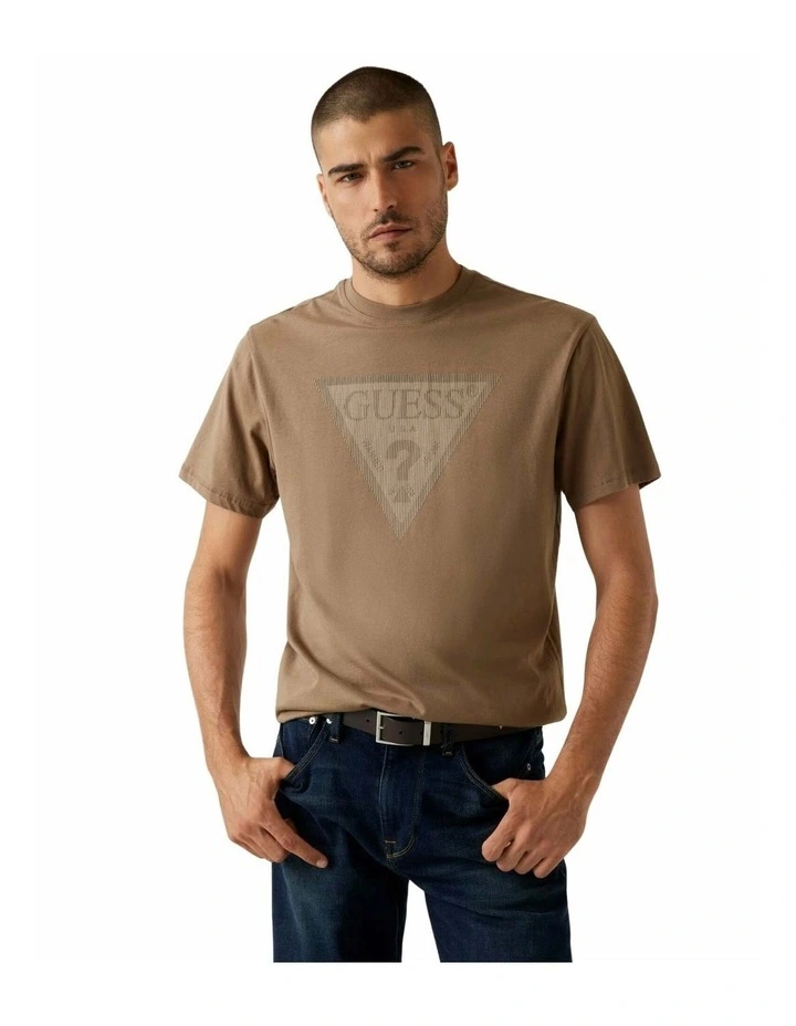 Triangle Logo T-shirt in Brown image 1