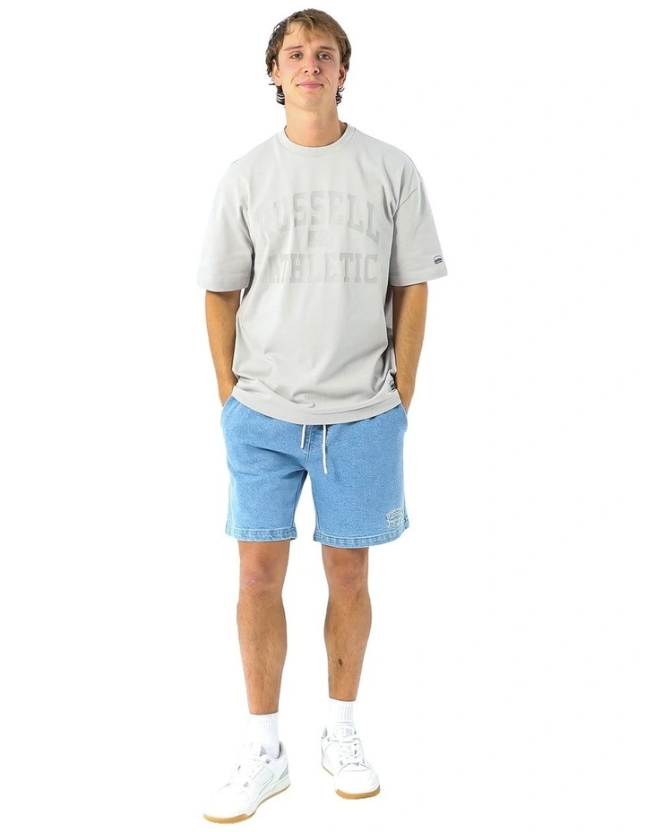 Eagle Arch Heavyweight Men's Tee - Antarctica image 5