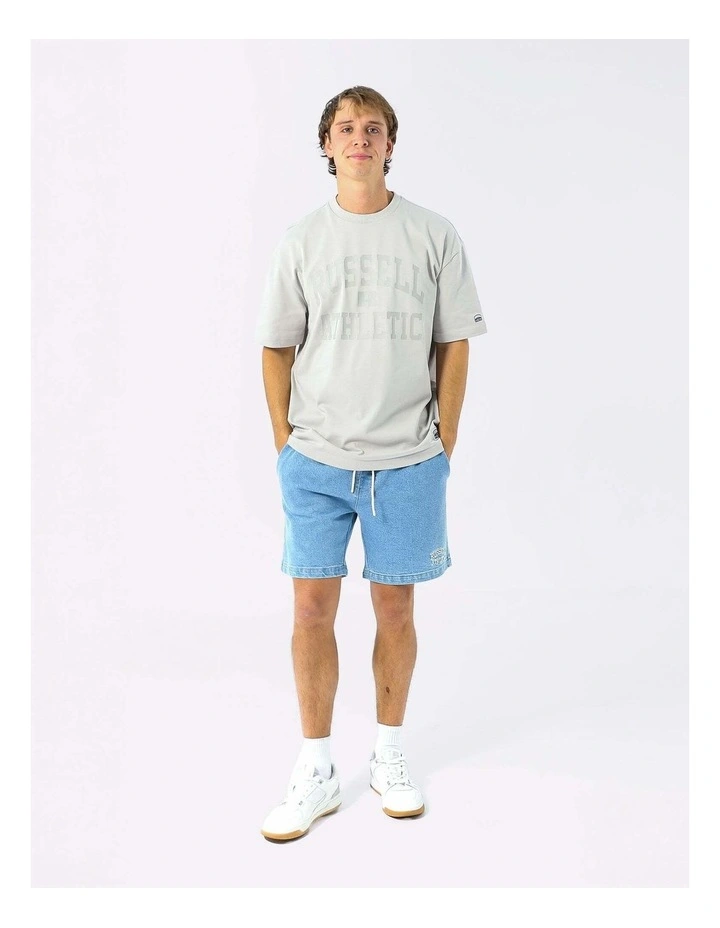Eagle Arch Heavyweight Men's Tee - Antarctica image 6