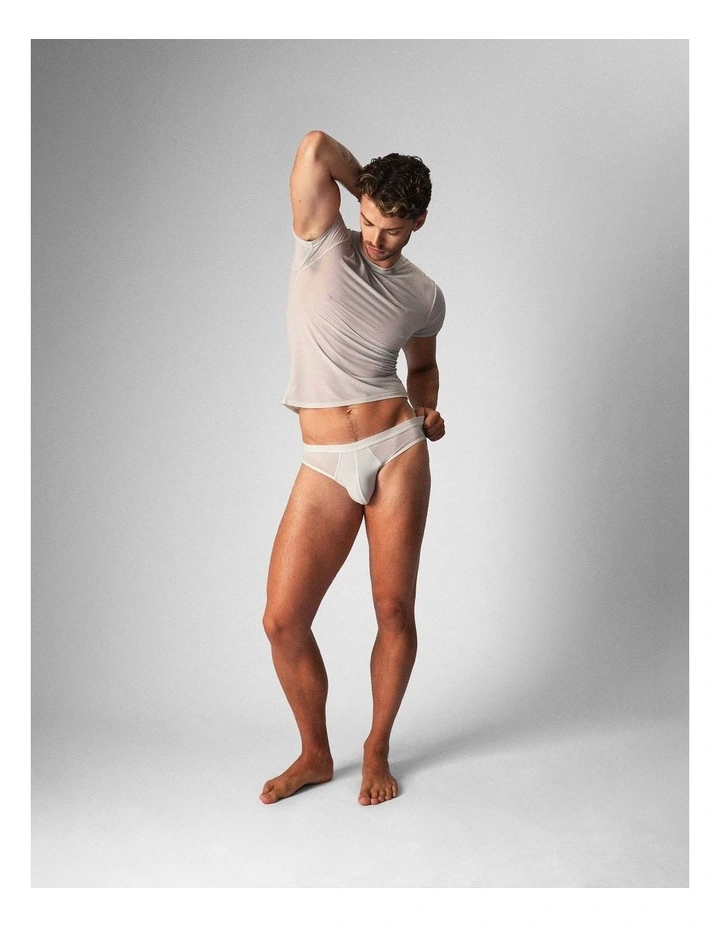 Allure Sheer Cropped Tee in Platinum image 1