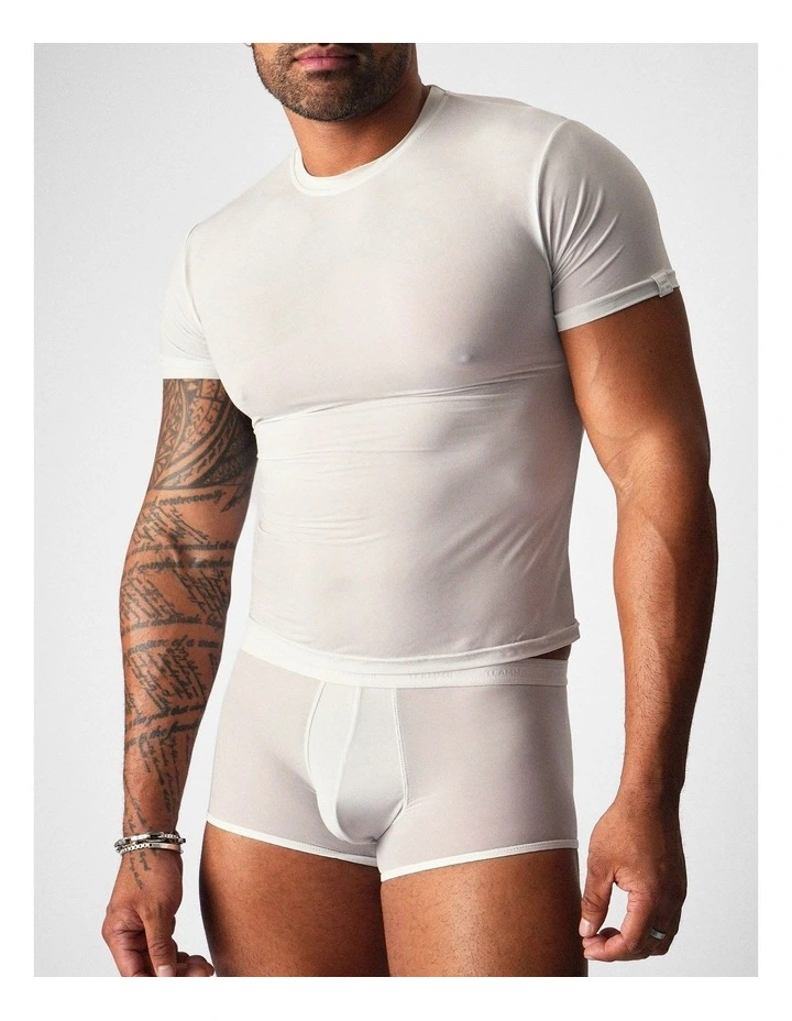 Allure Sheer Cropped Tee in Platinum image 5