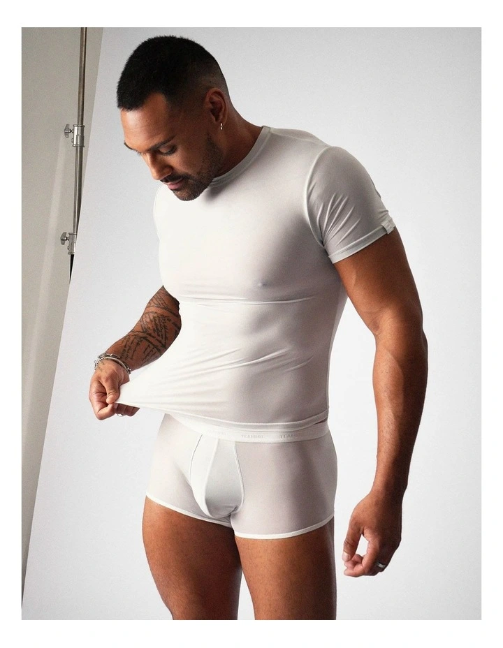 Allure Sheer Cropped Tee in Platinum image 7