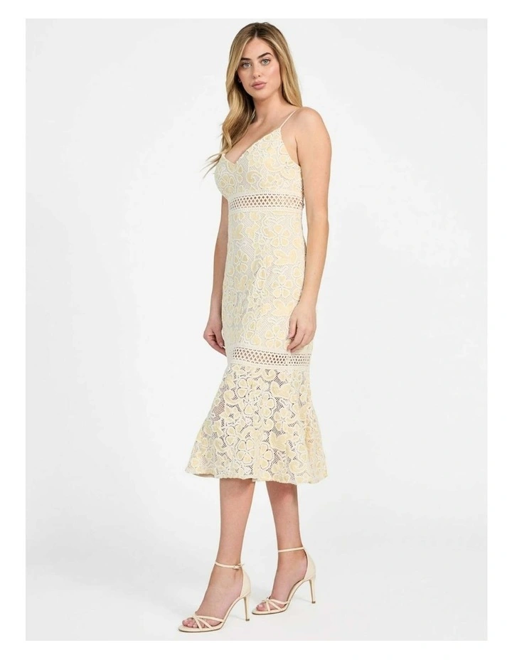 Clarise Lace Dress in Yellow Multi image 2
