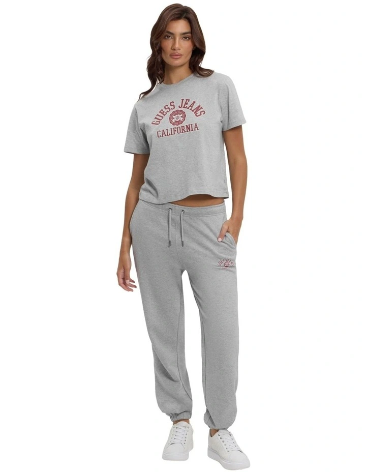 Iconic Fleece Pants in Grey image 1