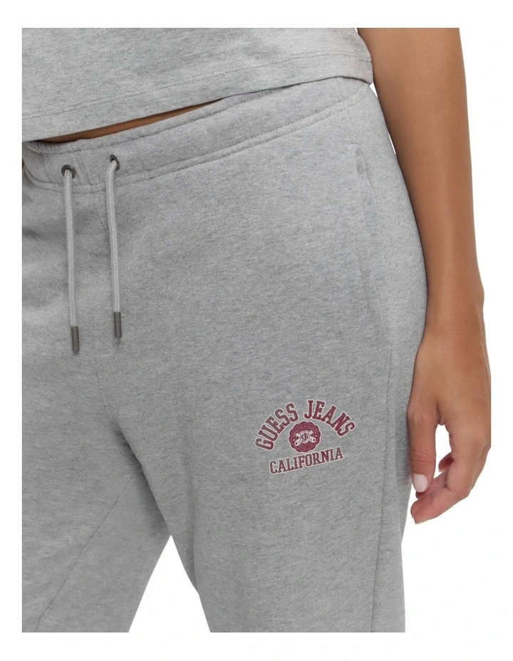 Iconic Fleece Pants in Grey image 5
