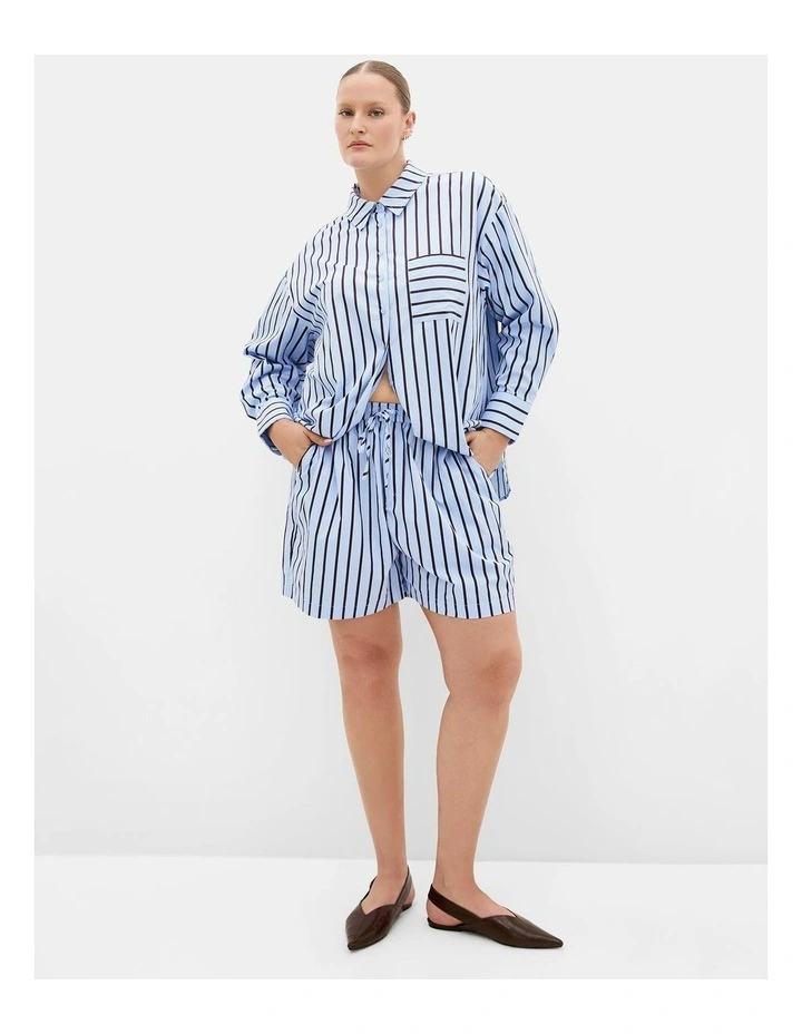 Plus Size Stassi Stripe Cotton Shirt in Baby Blue image 1