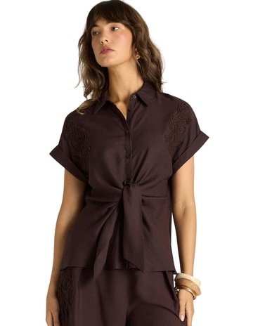 Chocolate colour