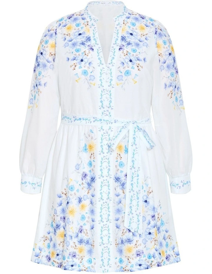 Plus Size Elia Blue Patrice Print Mini Dress in Ivory image 3