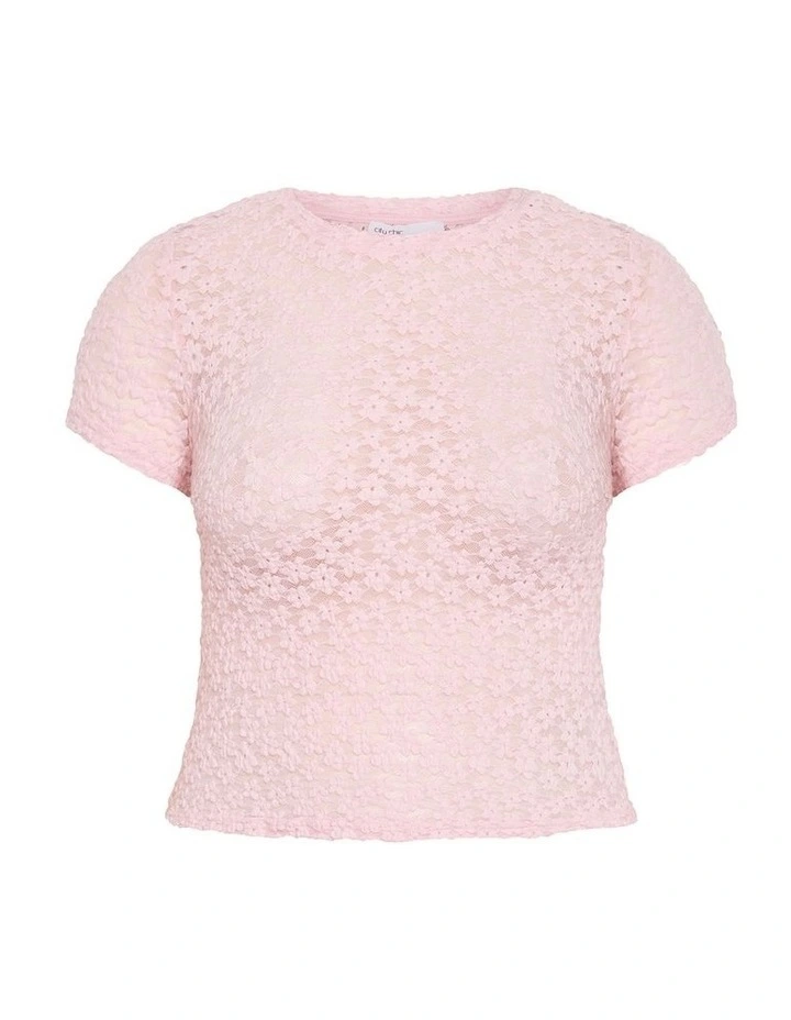 Plus Size Shiloh Lace Short Sleeve Tee in Heavenly Pink image 4