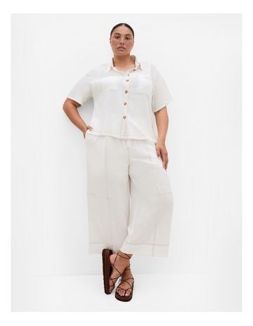 Ivory colour