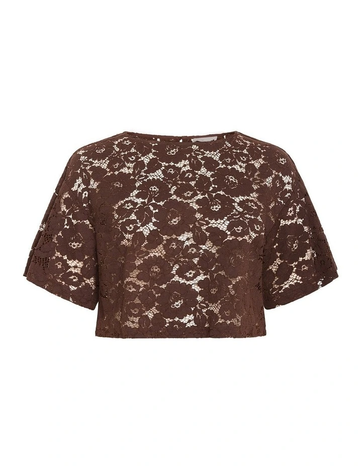Plus Size Lani Lace Top in Chocolate image 3