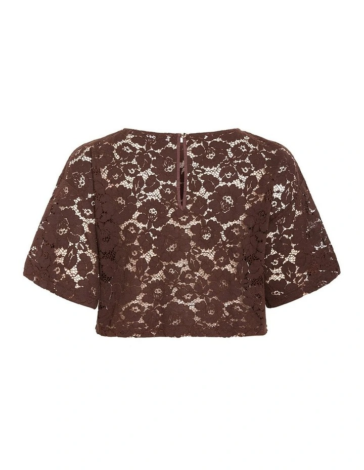 Plus Size Lani Lace Top in Chocolate image 4