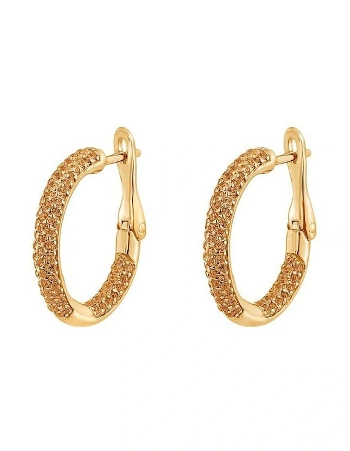 Cyclic Earrings image 1