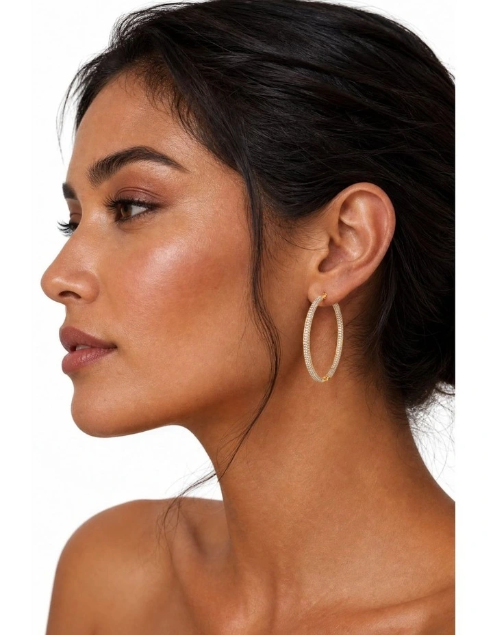 Pursuit Pave Hoops image 3