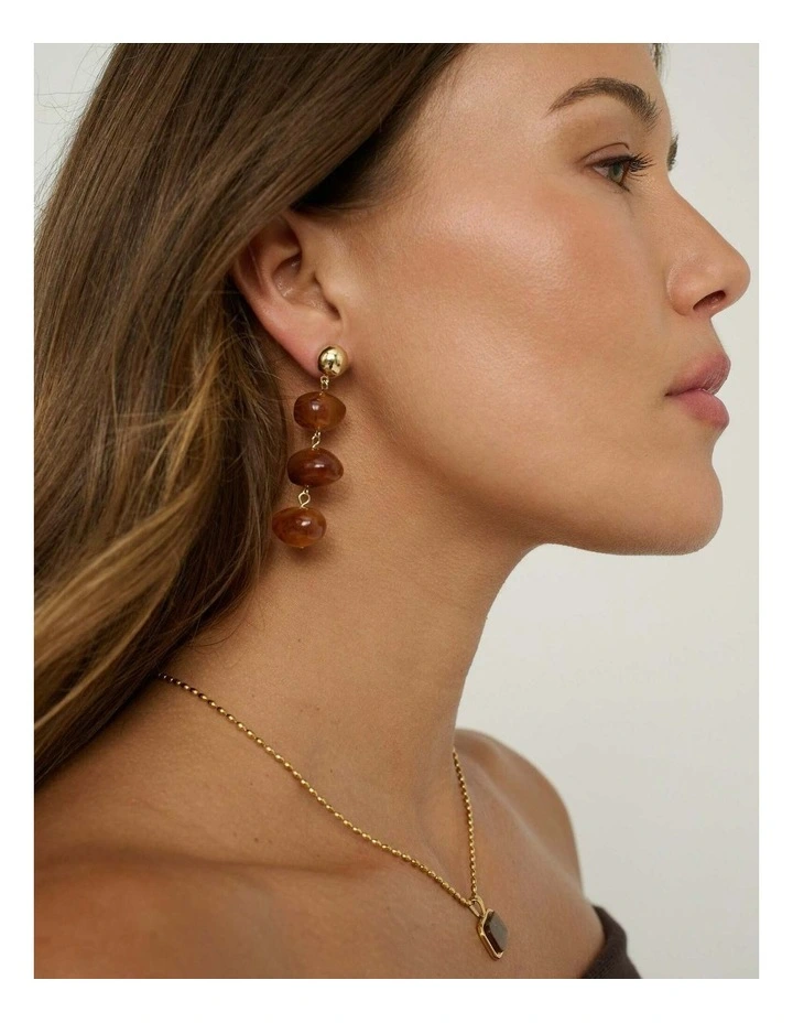 Roberto Resin Drop Earring image 2