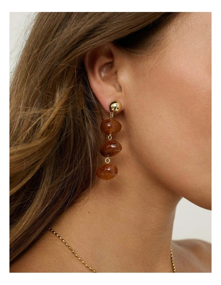 Roberto Resin Drop Earring image 5