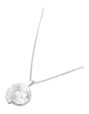 Silver colour