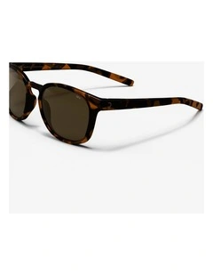 Category 3 Pantos Sunglasses MH160 in Brown