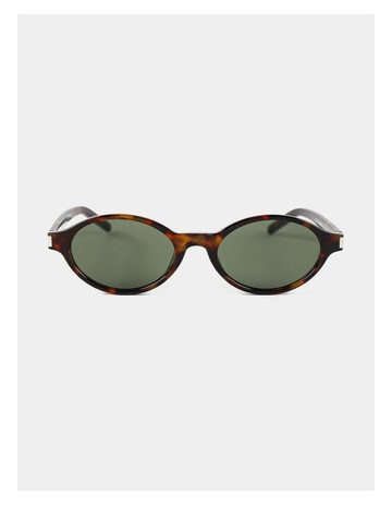 Tortoise colour