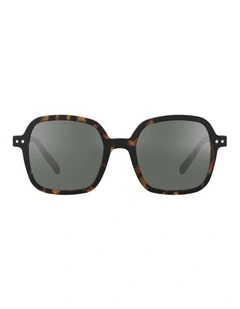 Sun Collection O - Tortoise