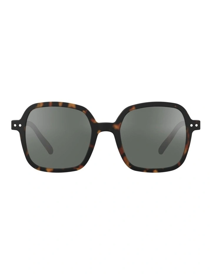 Sun Collection O - Tortoise image 1