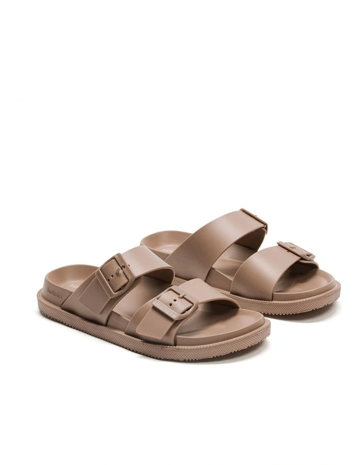 Soleseeker Natural image 7
