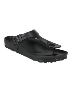 Coastal Black