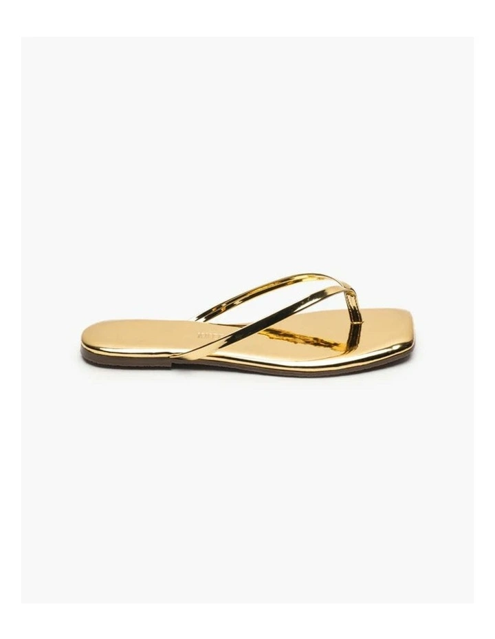 Tkees-Square Toe Lily Mirror image 3