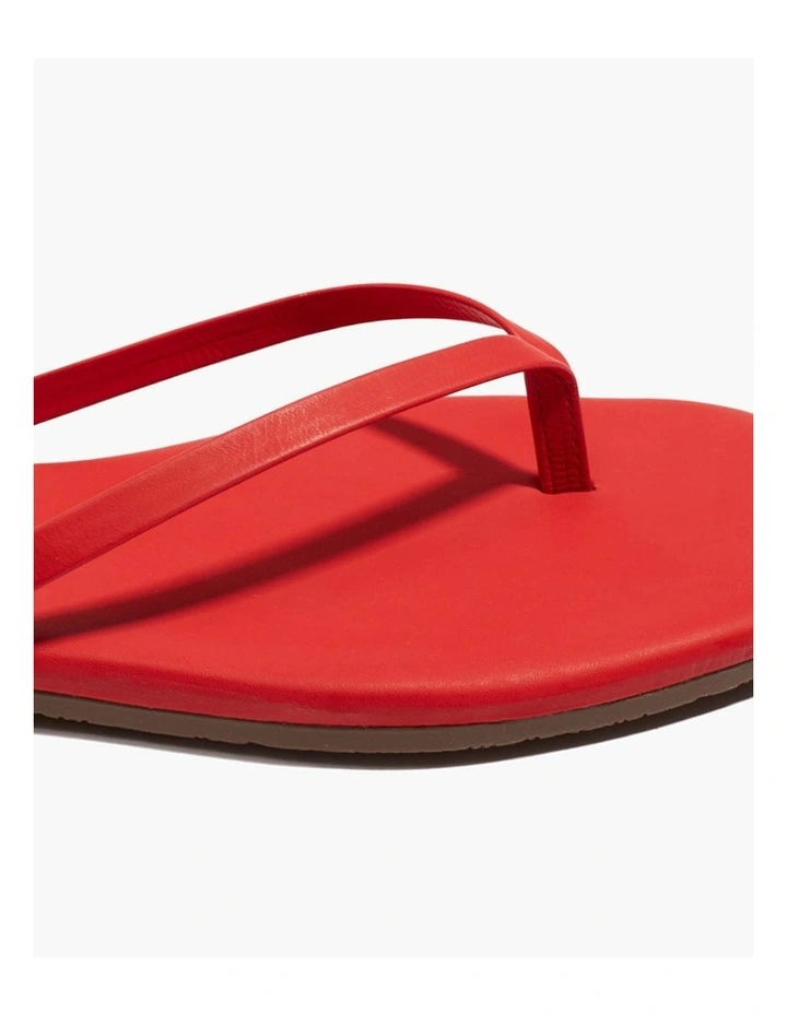 Tkees-Square Toe Lily-Red Gloss image 3