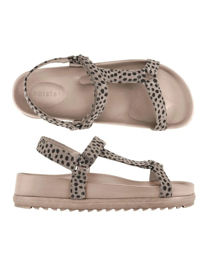 Glide - Cheetah image 1