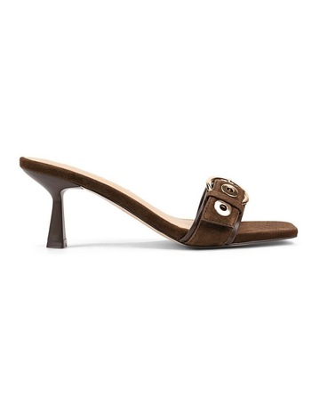 Chocolate colour