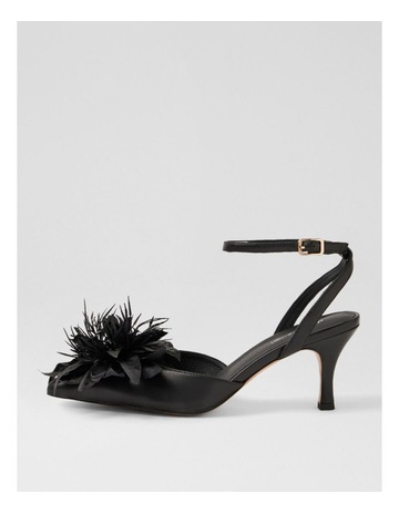 Black colour
