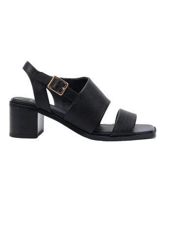 Black colour