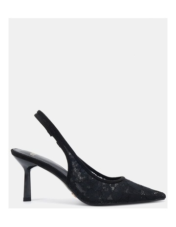 Black Lace colour