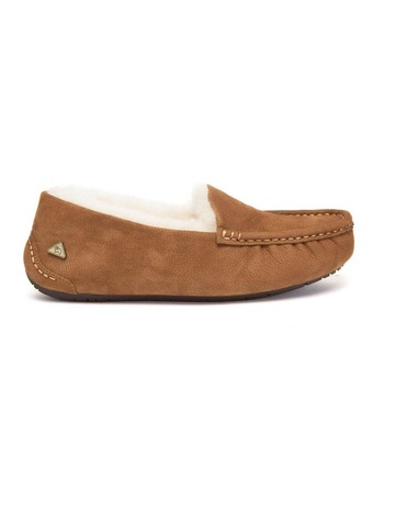 Chestnut colour