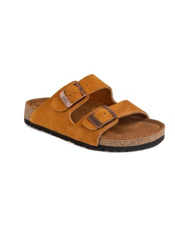 Chestnut colour