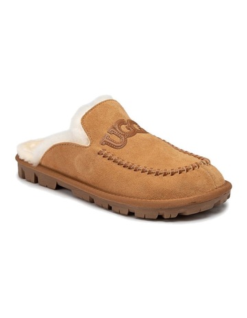 Chestnut colour