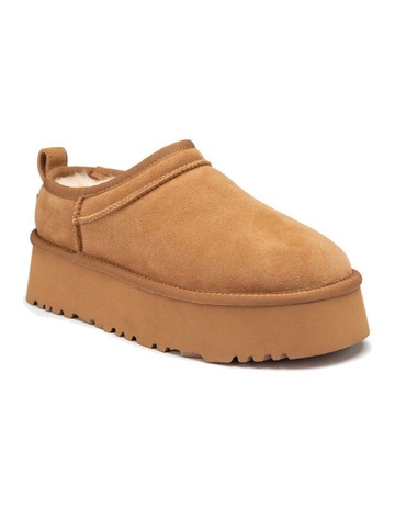 Chestnut colour