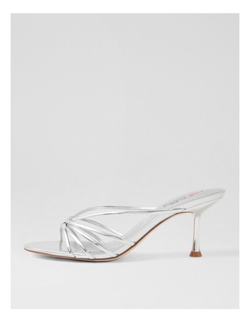 Silver colour