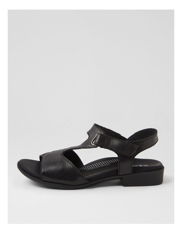 Black colour