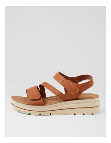 Tan colour