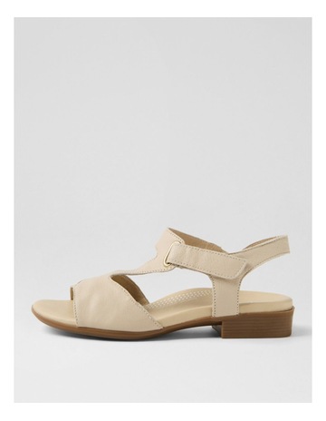 Neutral colour