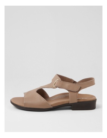 Neutral colour